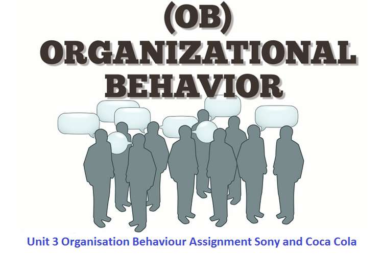 organization Behaviour