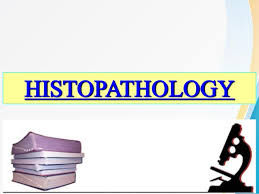 Intro. to Histopathology