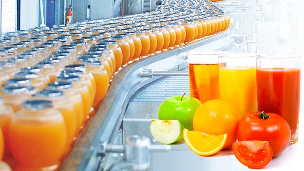 Technology of fruit and vegetable processing